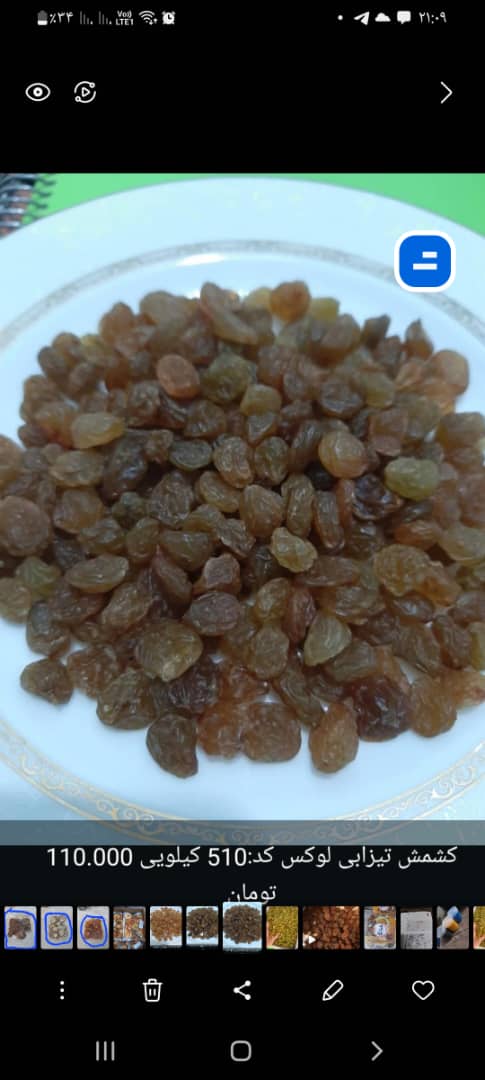 تصویر 4 از فروش عمده کشمش آفتاب خشک ملایر